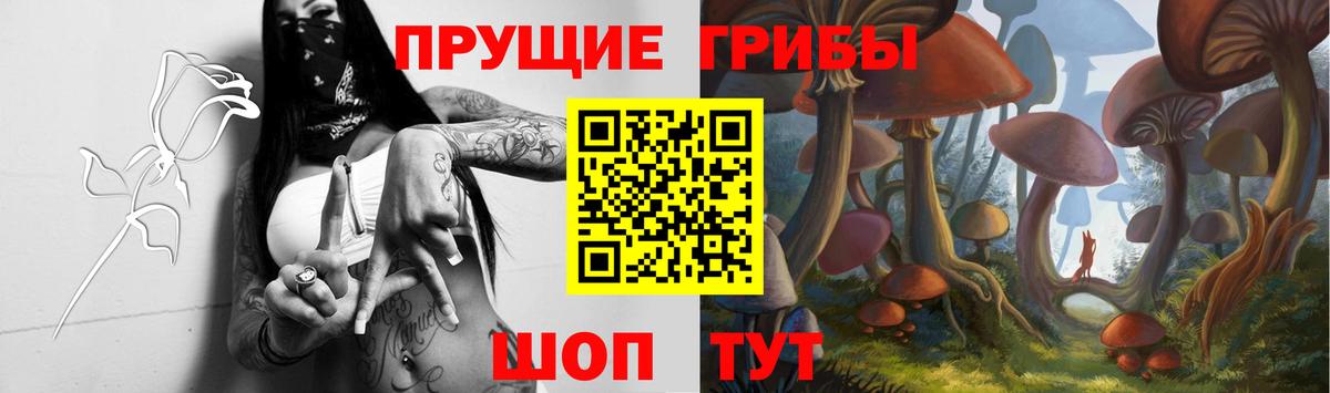 Псилоцибиновые грибы мицелий  Вход с VPN  Губкин 
